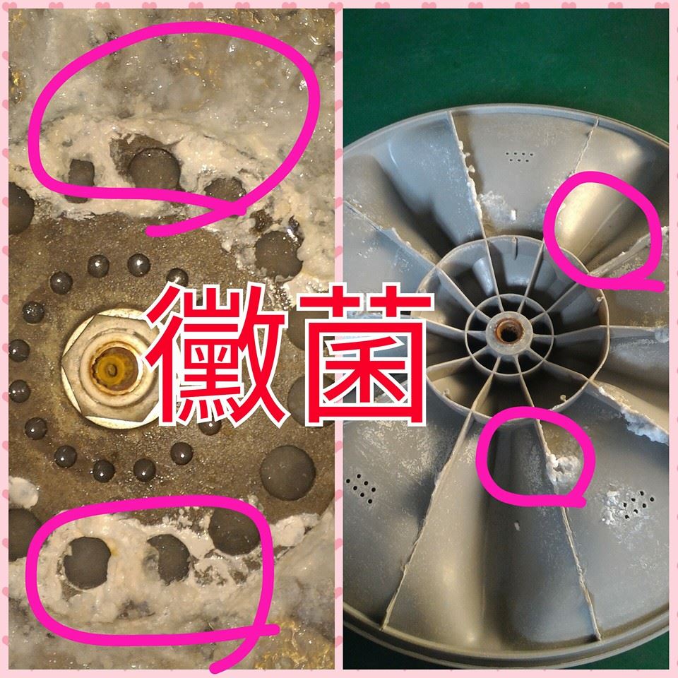長時間不用的洗衣機要記得把桶內的水排乾....以避免滋生黴菌
