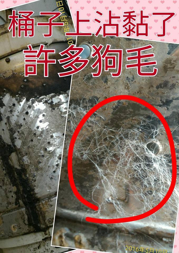 寵物的毯子別丟入洗衣機