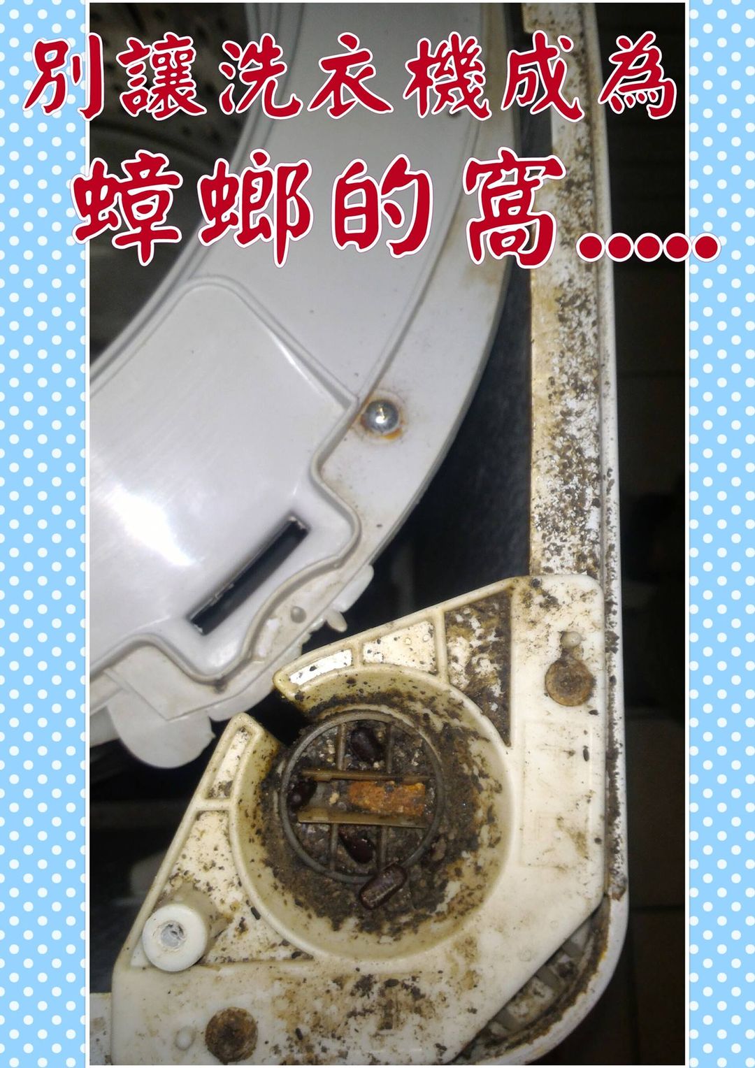 別讓洗衣機成為蟑螂的窩