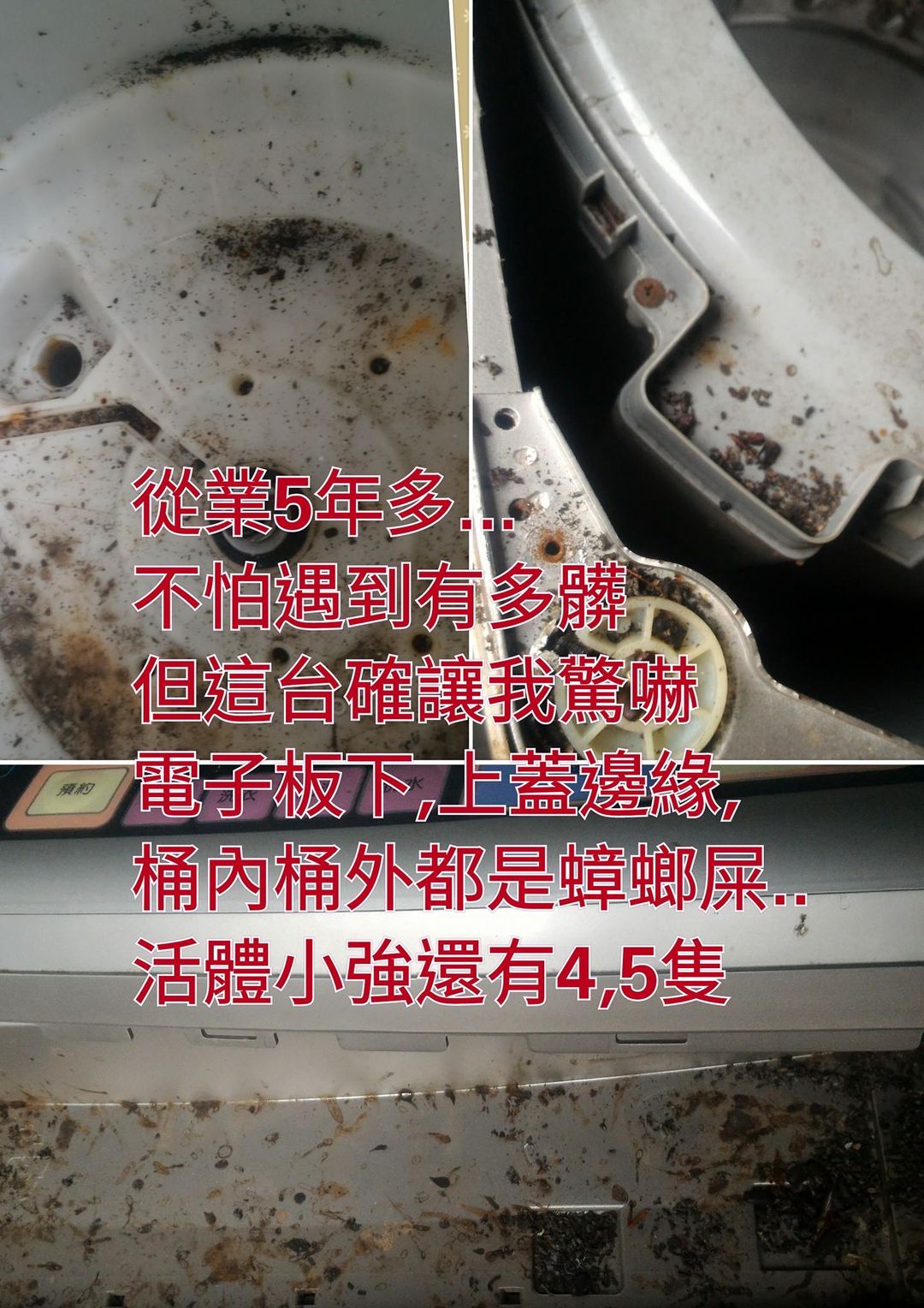 筒內外都是蟑螂屎