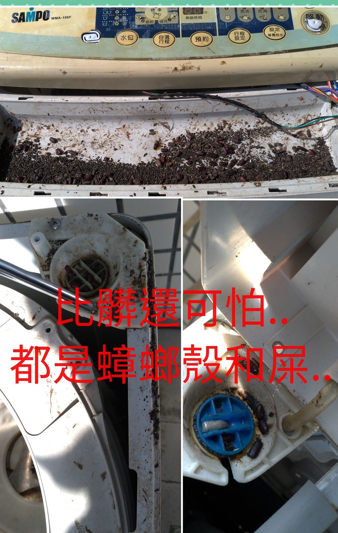 比髒還可怕，都是蟑螂殼跟屎